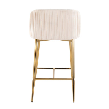 Fixed Height Counter Stool (Set of 2)