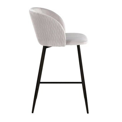 Fixed Height Counter Stool (Set of 2)