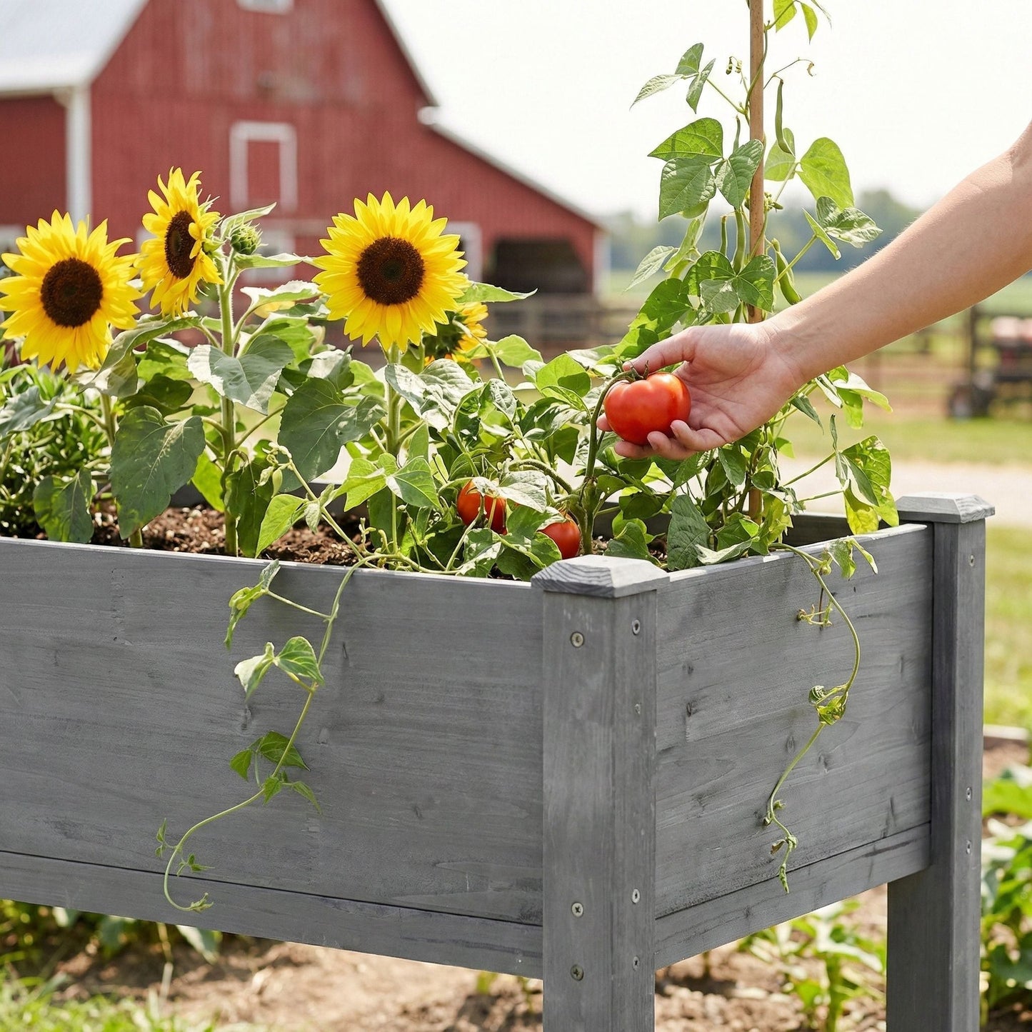 Garden Bed For Outdoor