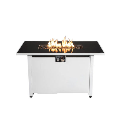 Outdoor 43" Fire Pit Table