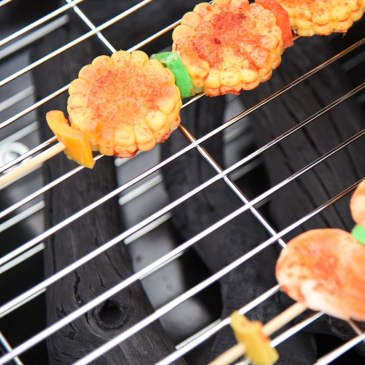 Portable Charcoal Grill