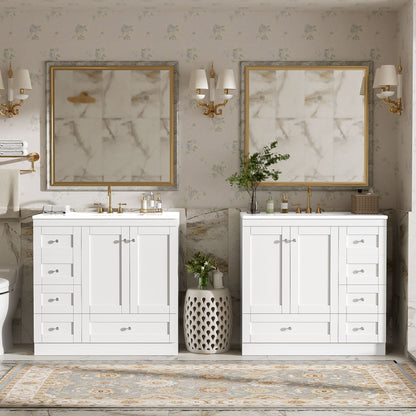 Bathroom Vanity Cabinet & Sink