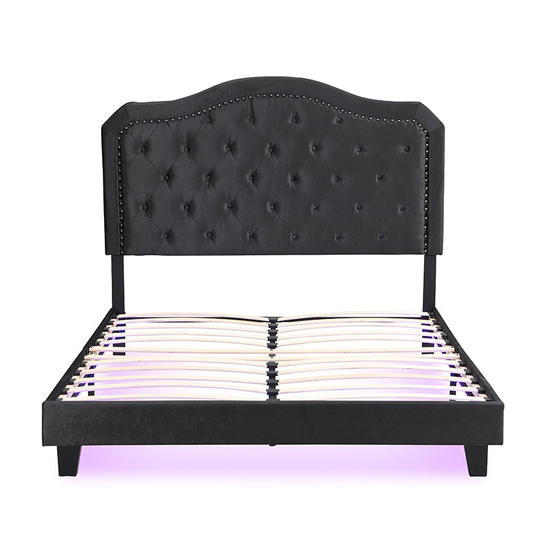 Queen Upholstered Bed Button Tufted with Curve Design