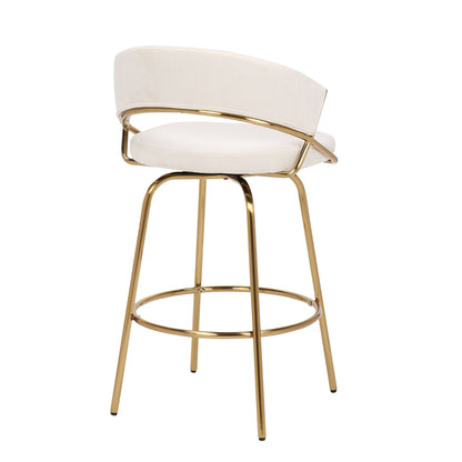 Counter Stool (Set of 2)