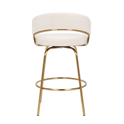Counter Stool (Set of 2)